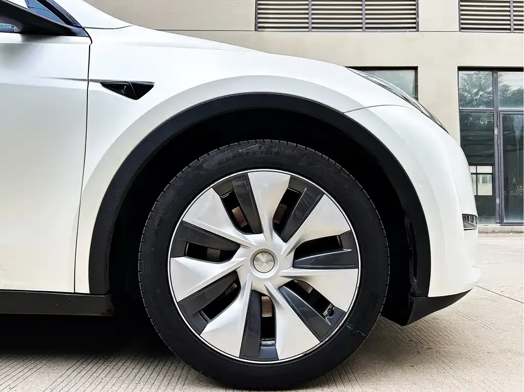 Tesla Model Y 2021 из CN, фото 10