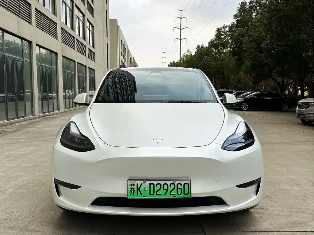 Tesla Model Y 2021 из CN, фото 2