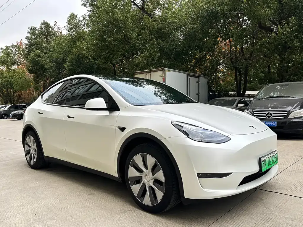 Tesla Model Y 2021 из CN, фото 3