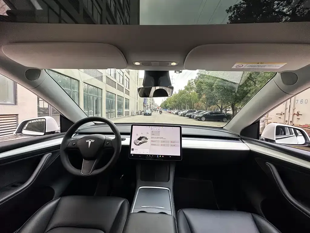 Tesla Model Y 2021 из CN, фото 6