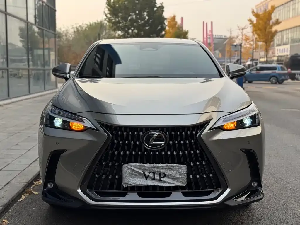 Lexus NX 2022 из CN, фото 2