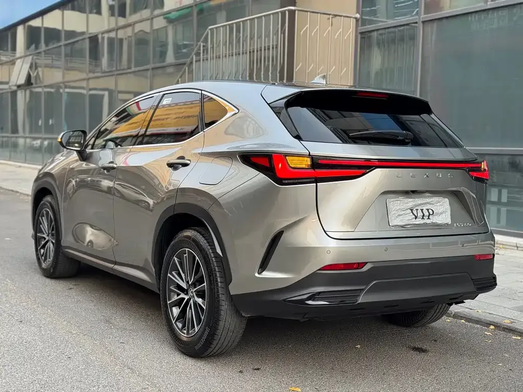 Lexus NX 2022 из CN, фото 4