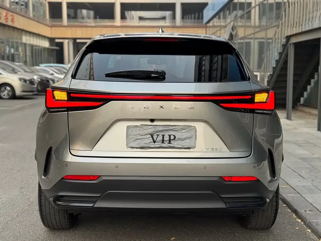 Lexus NX 2022 из CN, фото 5