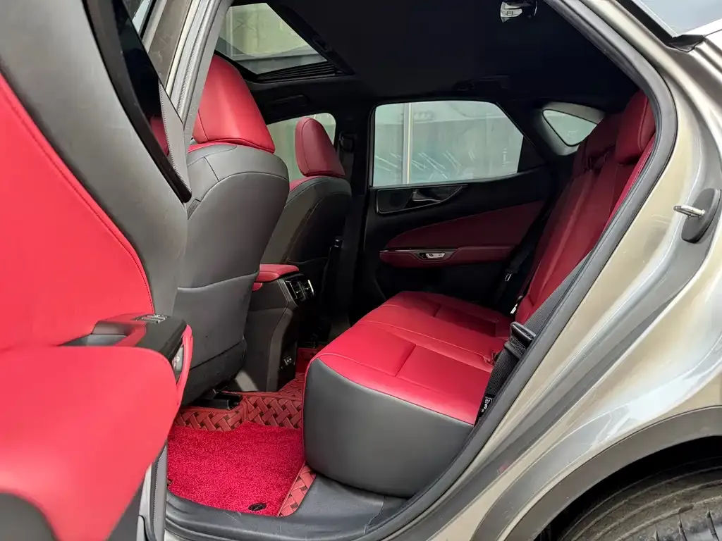 Lexus NX 2022 из CN, фото 7