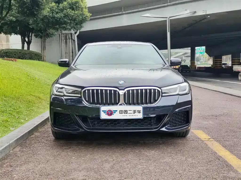 BMW 5 Series 2023 из CN, фото 2
