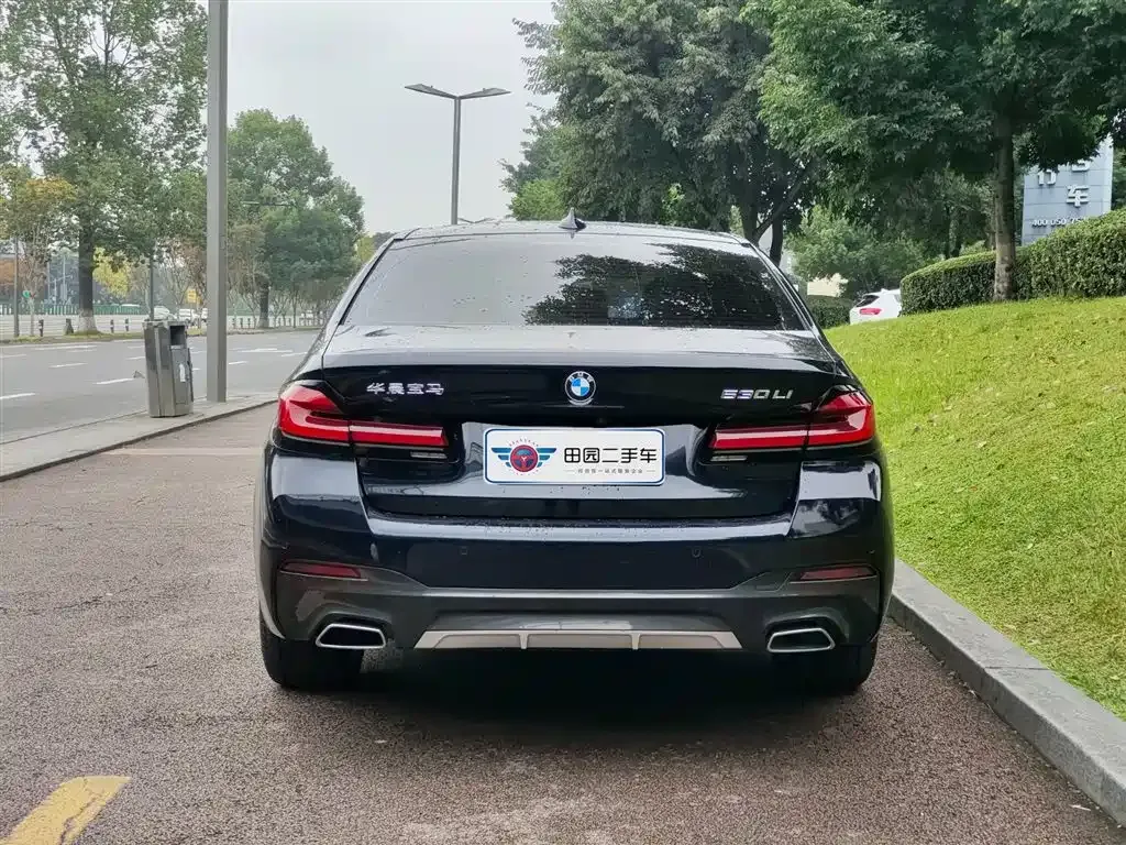 BMW 5 Series 2023 из CN, фото 5