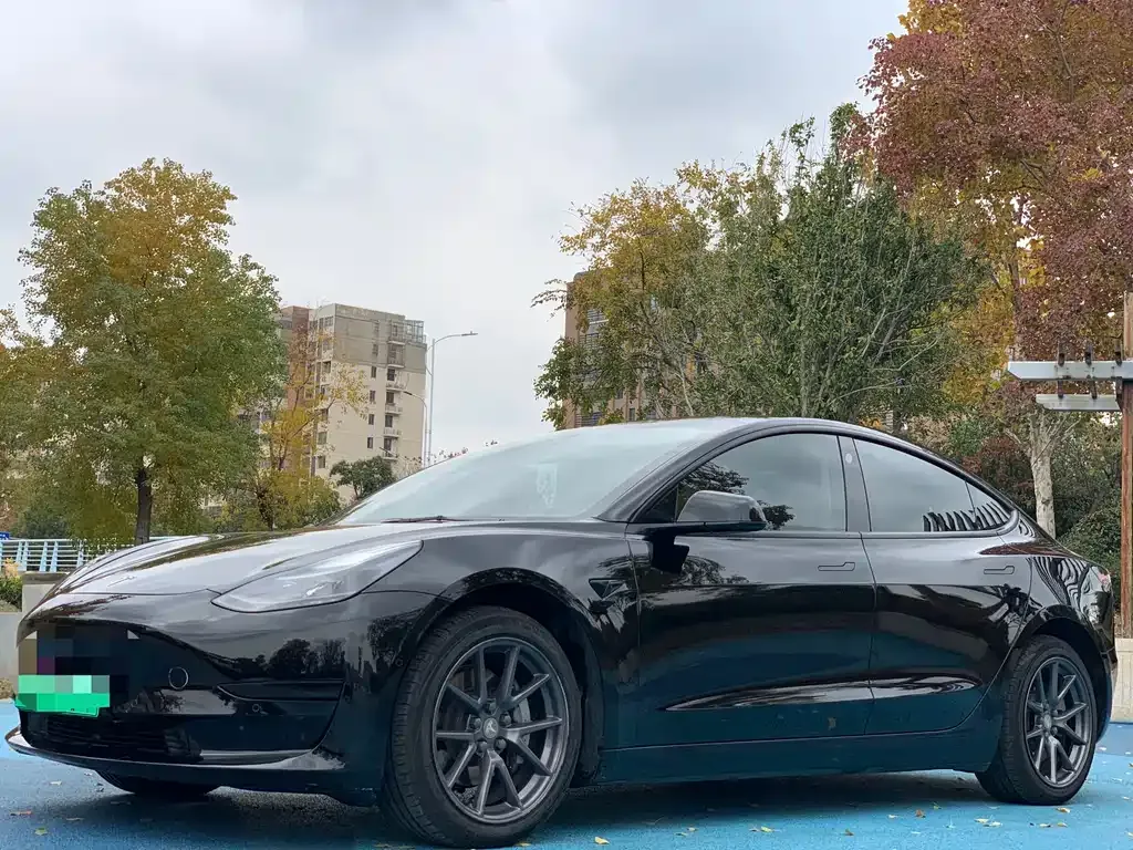 Tesla Model 3 2021 из CN, фото 1