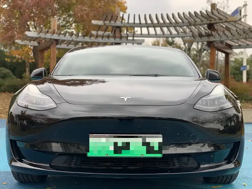 Tesla Model 3 2021 из CN, фото 2