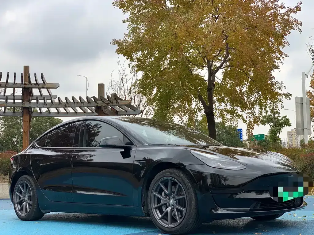 Tesla Model 3 2021 из CN, фото 3