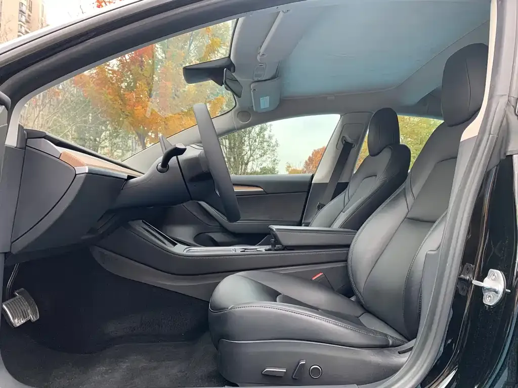 Tesla Model 3 2021 из CN, фото 4