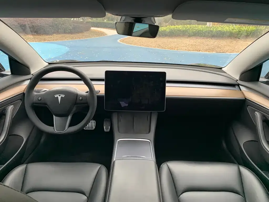 Tesla Model 3 2021 из CN, фото 5