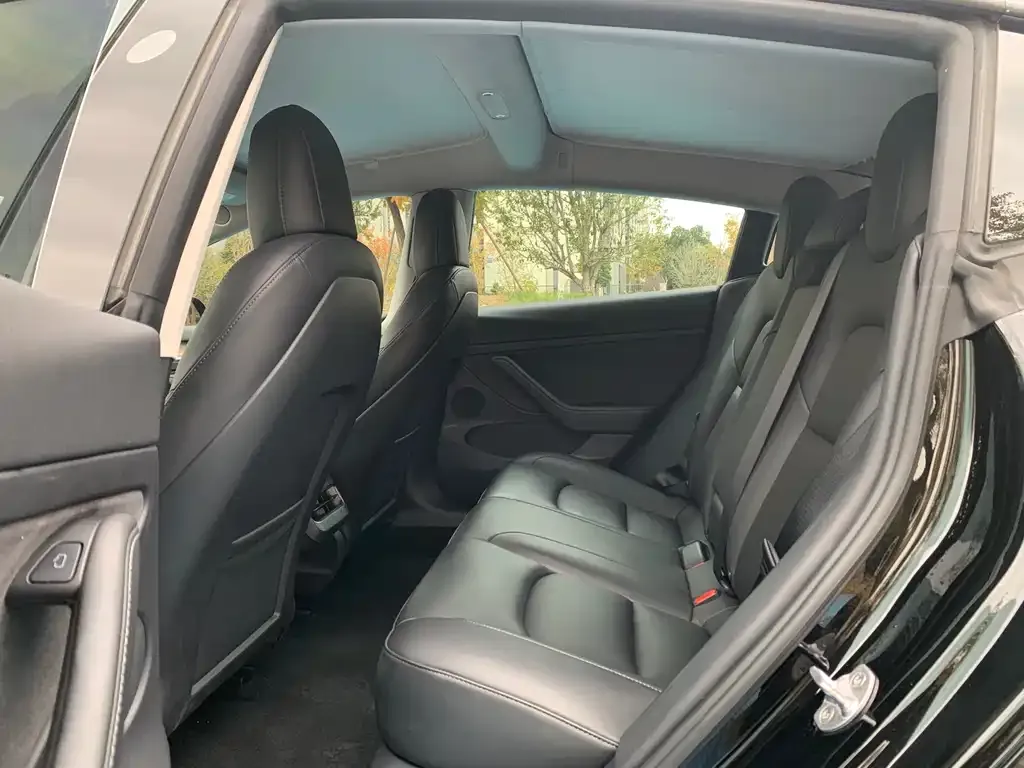 Tesla Model 3 2021 из CN, фото 6