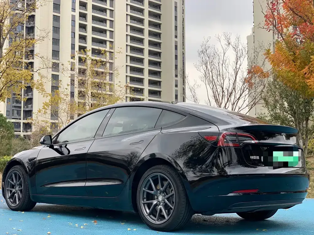 Tesla Model 3 2021 из CN, фото 7