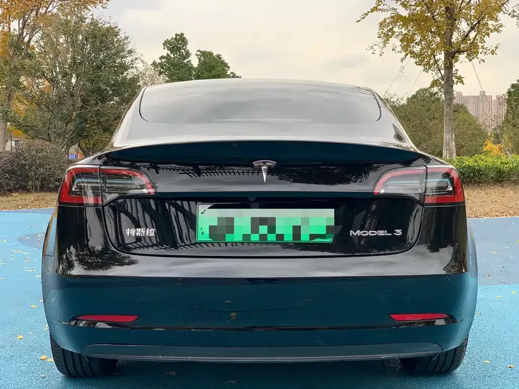 Tesla Model 3 2021 из CN, фото 8