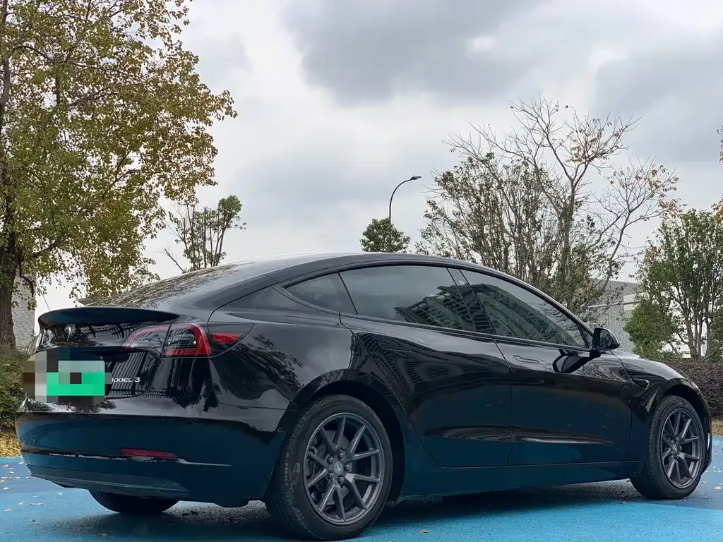 Tesla Model 3 2021 из CN, фото 9