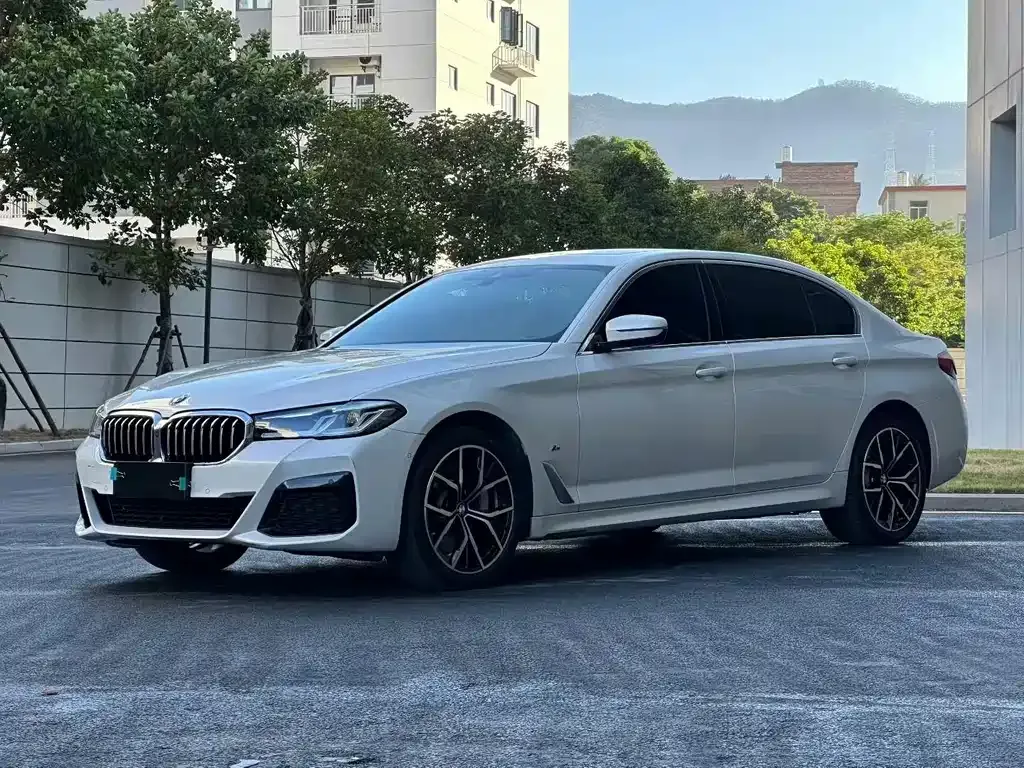 BMW 5 Series 2022 из CN, фото 1