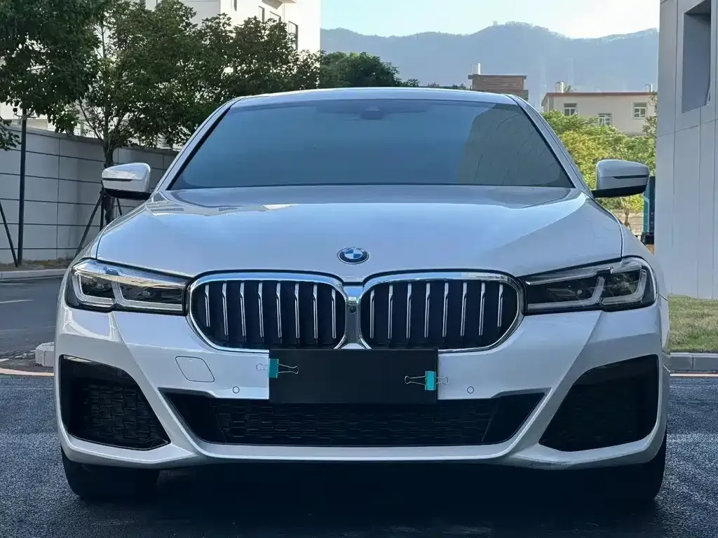 BMW 5 Series 2022 из CN, фото 2