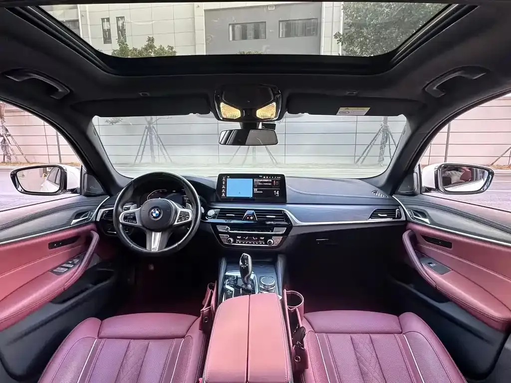 BMW 5 Series 2022 из CN, фото 4
