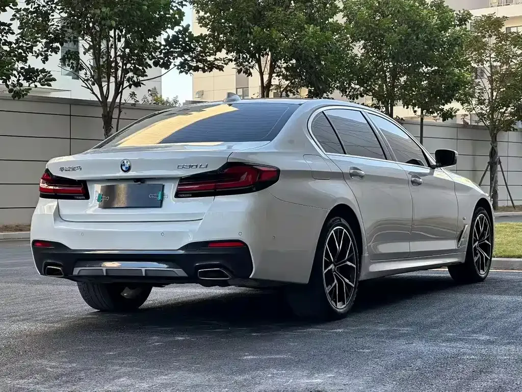 BMW 5 Series 2022 из CN, фото 7