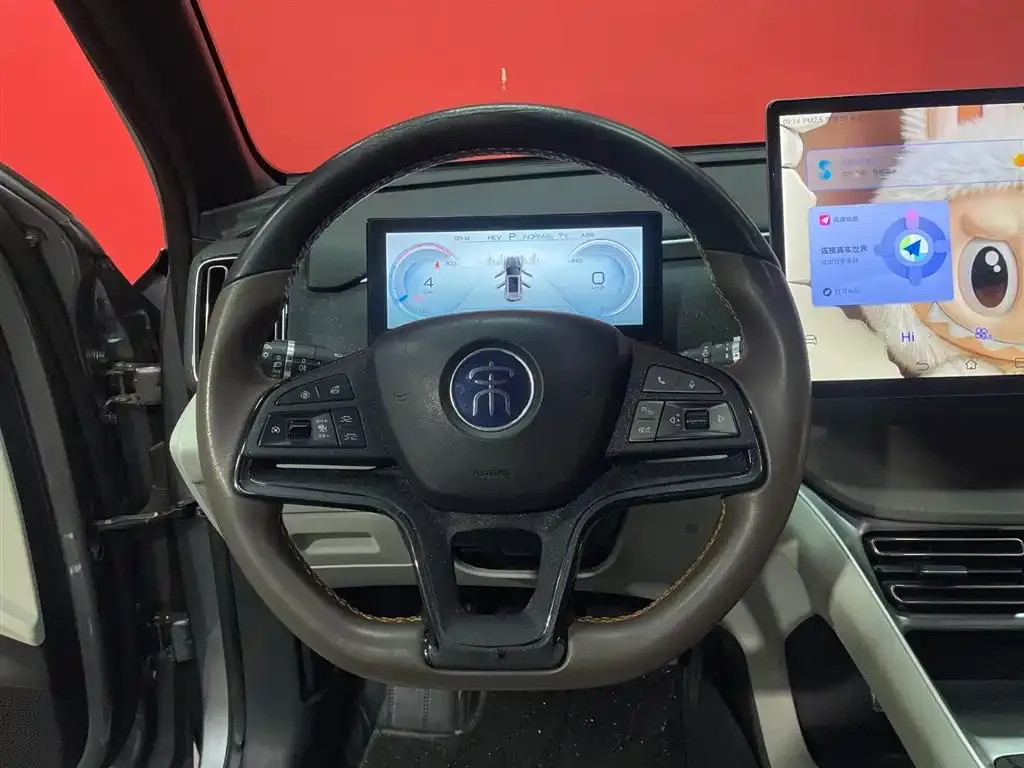 BYD Pro New Energy 2023 из CN, фото 10