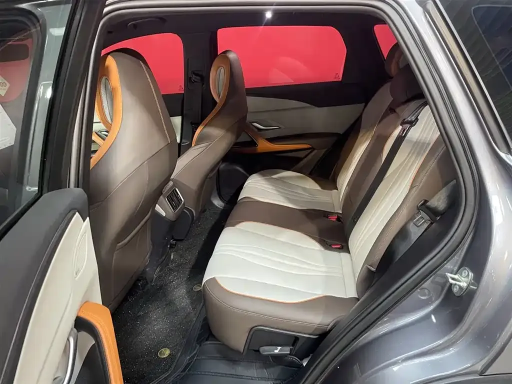 BYD Pro New Energy 2023 из CN, фото 6