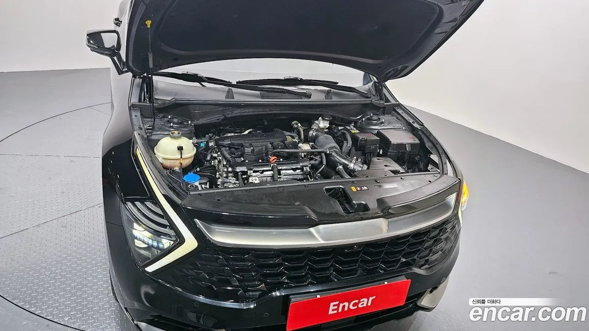 Kia Sportage — фото 6