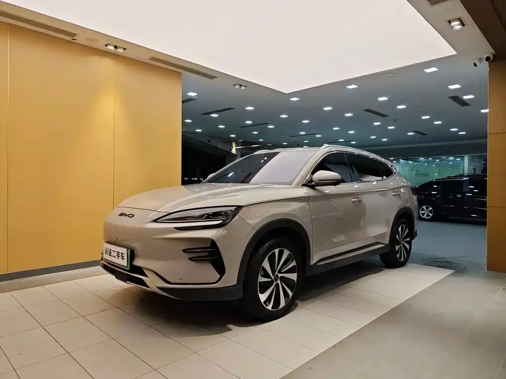 BYD PLUS New Energy 2024 из CN, фото 1