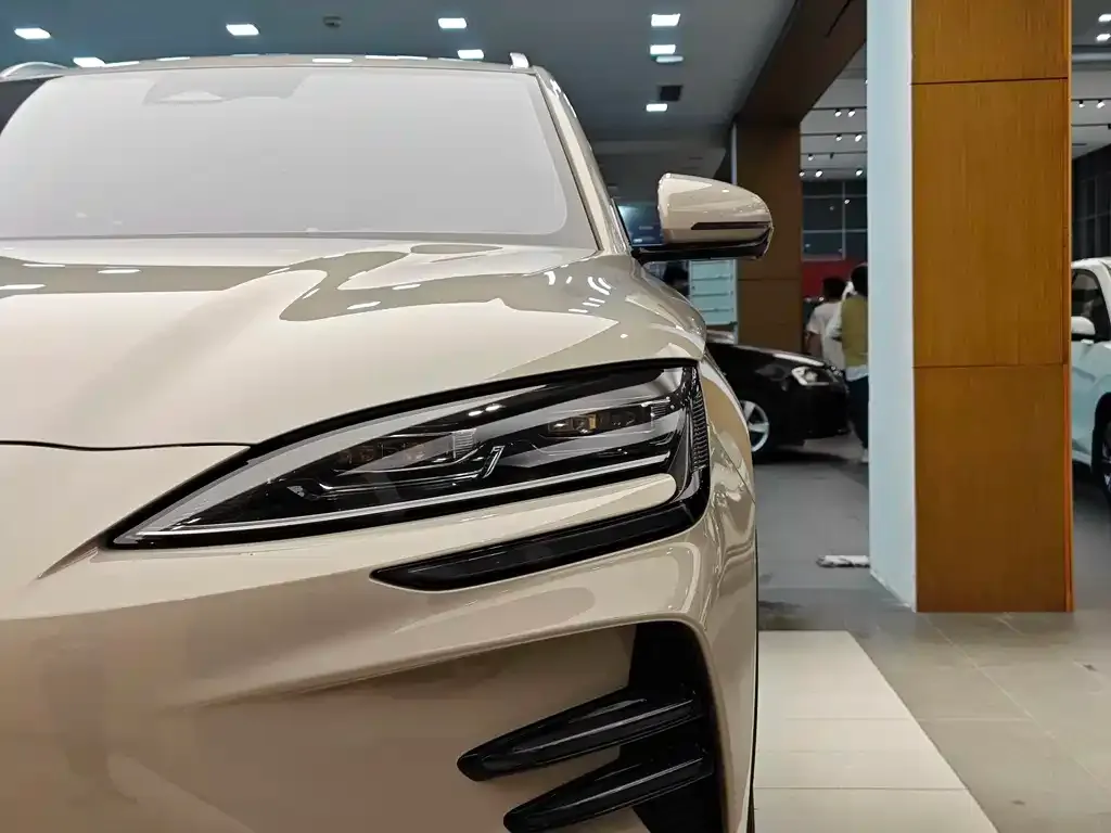 BYD PLUS New Energy 2024 из CN, фото 2