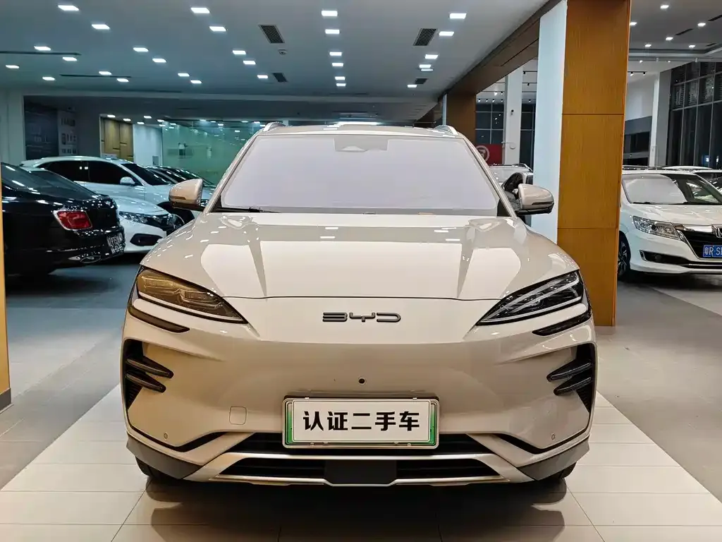 BYD PLUS New Energy 2024 из CN, фото 3