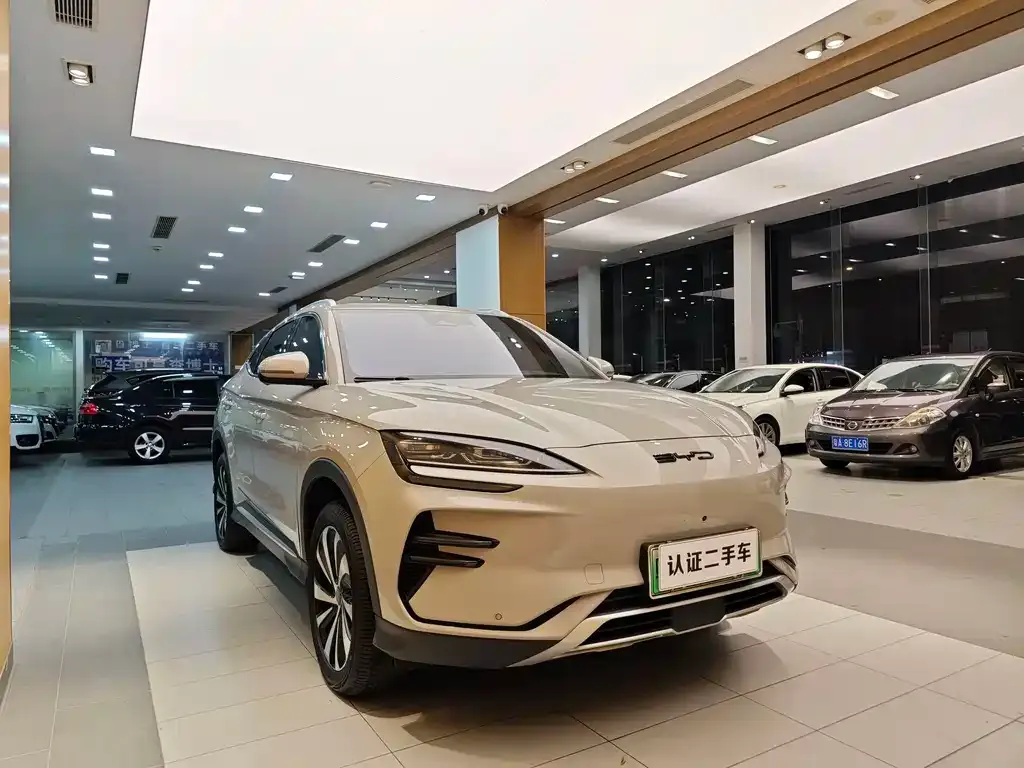 BYD PLUS New Energy 2024 из CN, фото 4