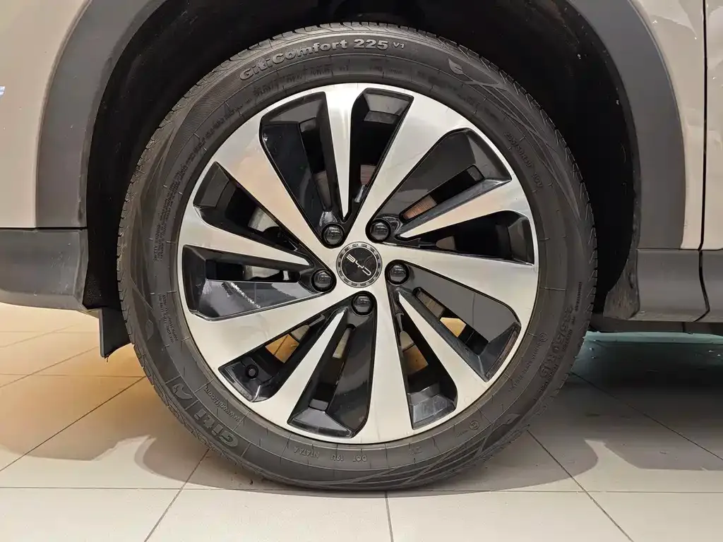 BYD PLUS New Energy 2024 из CN, фото 5