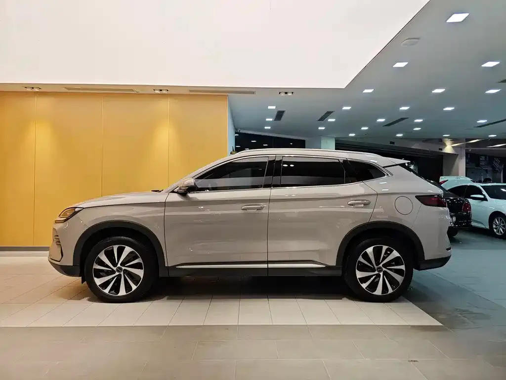 BYD PLUS New Energy 2024 из CN, фото 6