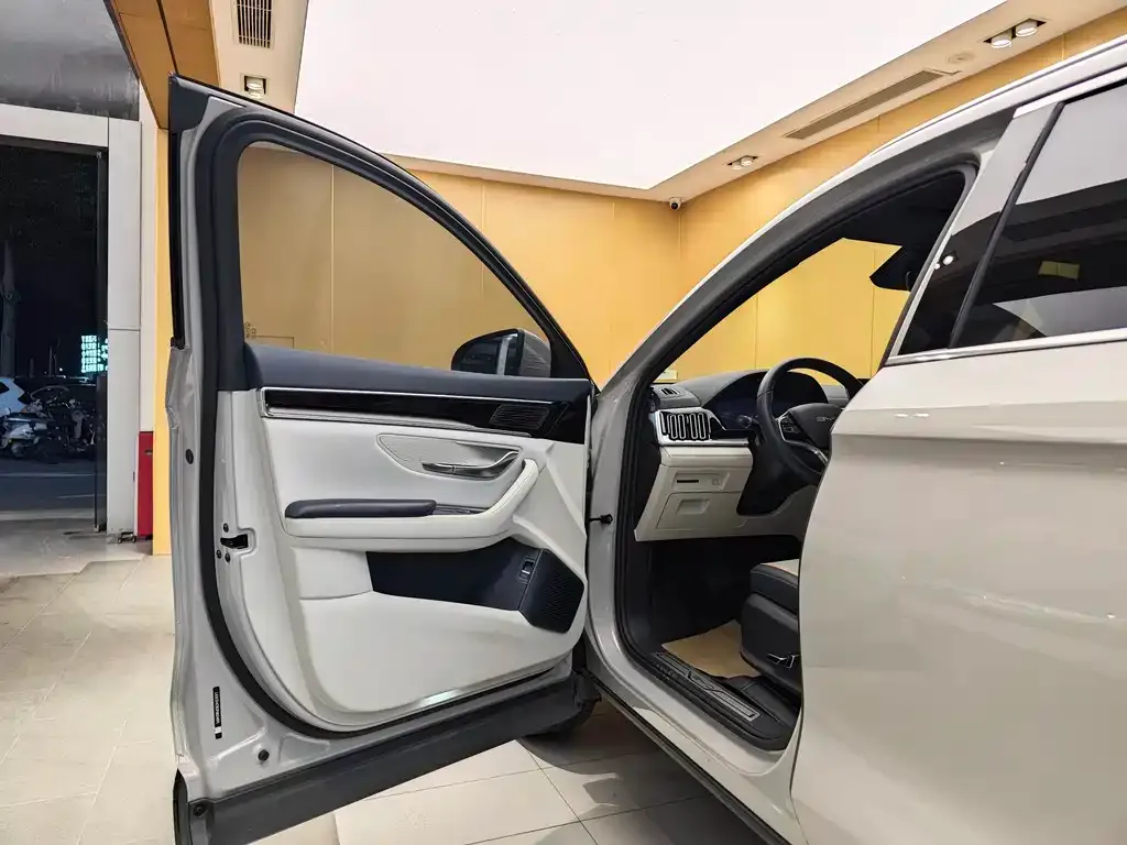BYD PLUS New Energy 2024 из CN, фото 7