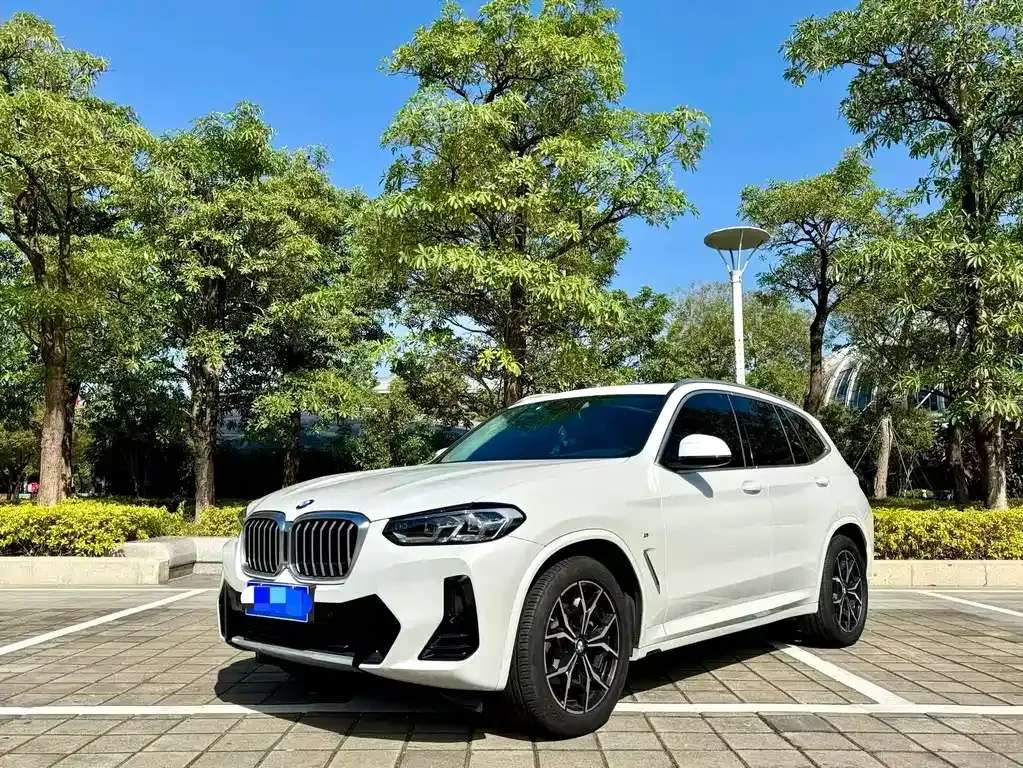 BMW X3 2022 из CN, фото 1