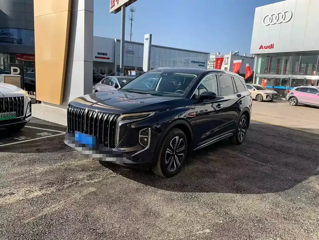 Hongqi HS7 2023 из CN, фото 1