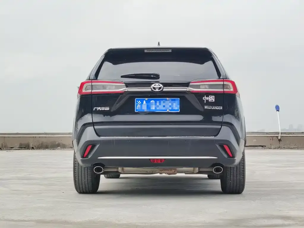 Toyota Wildlander 2022 из CN, фото 4