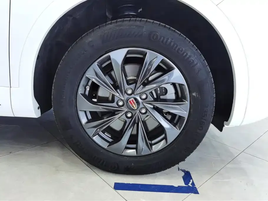 Hongqi HS5 2023 из CN, фото 6