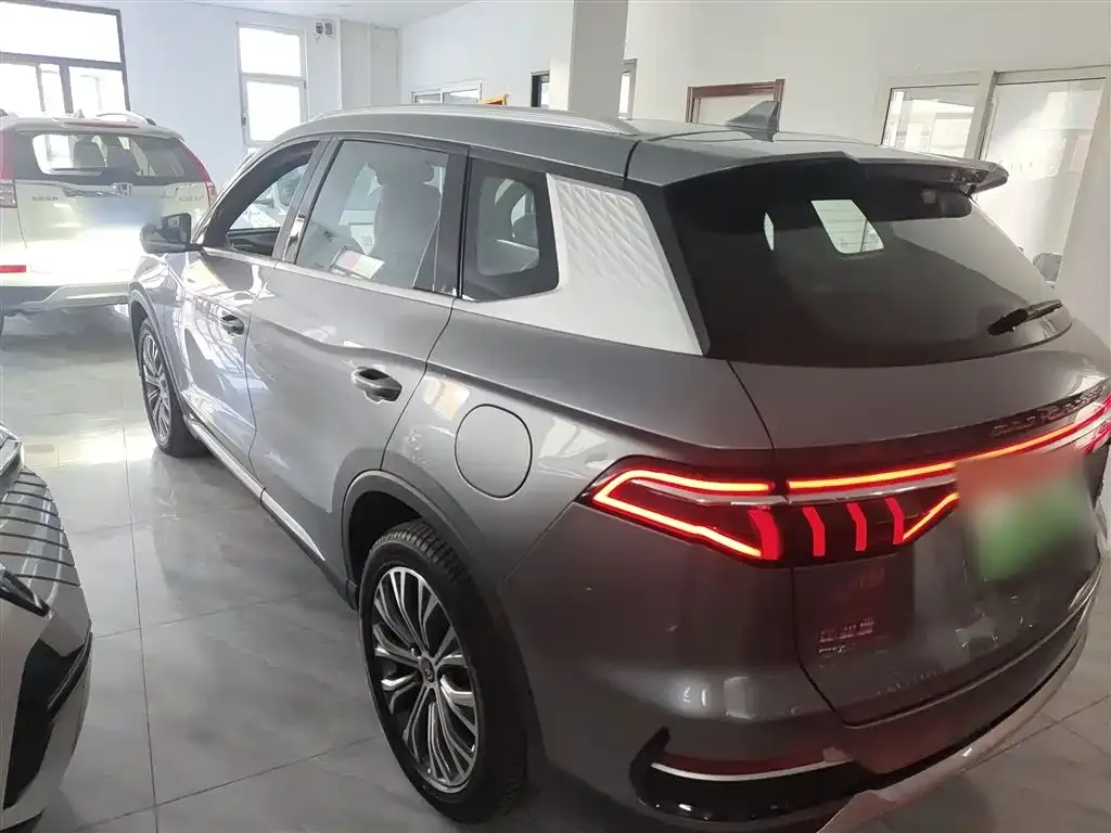 BYD Pro New Energy 2022 из CN, фото 5
