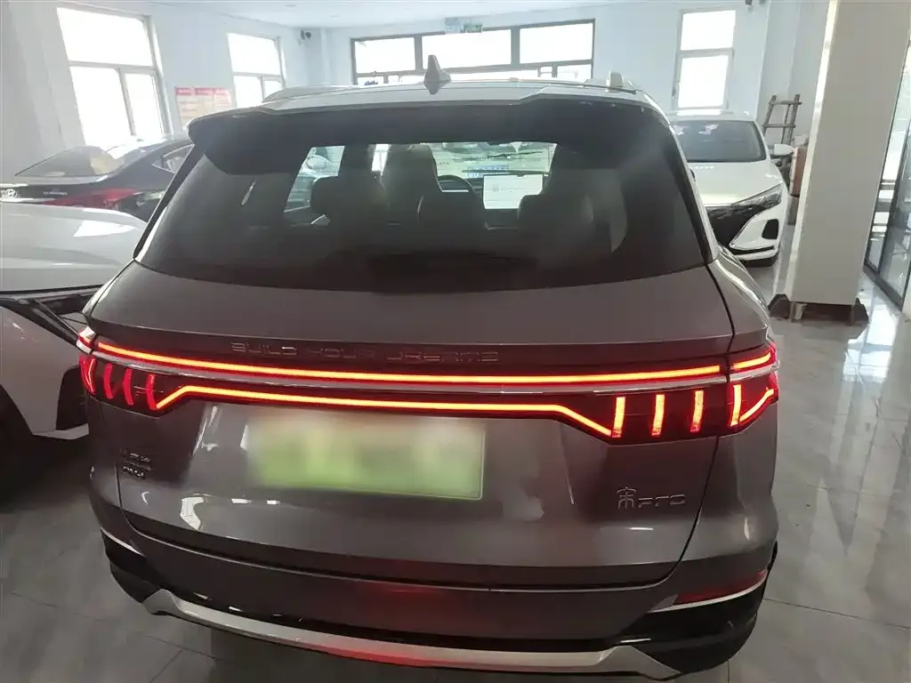 BYD Pro New Energy 2022 из CN, фото 6