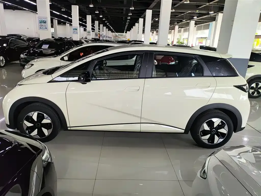 BYD Dolphin 2025 из CN, фото 5