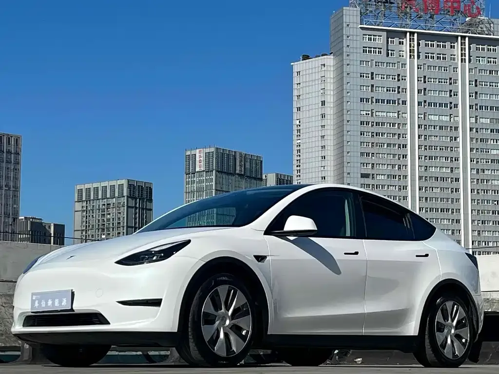 Tesla Model Y 2022 из CN, фото 1
