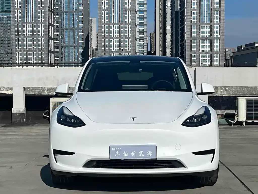 Tesla Model Y 2022 из CN, фото 2