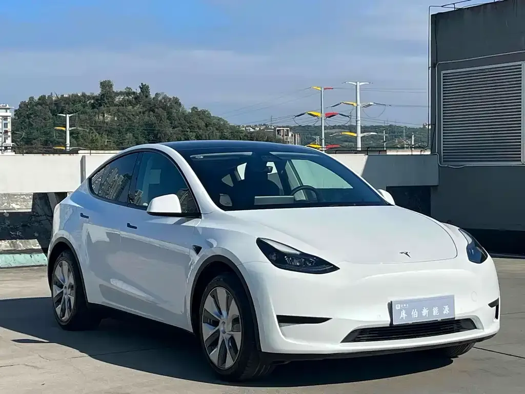Tesla Model Y 2022 из CN, фото 3