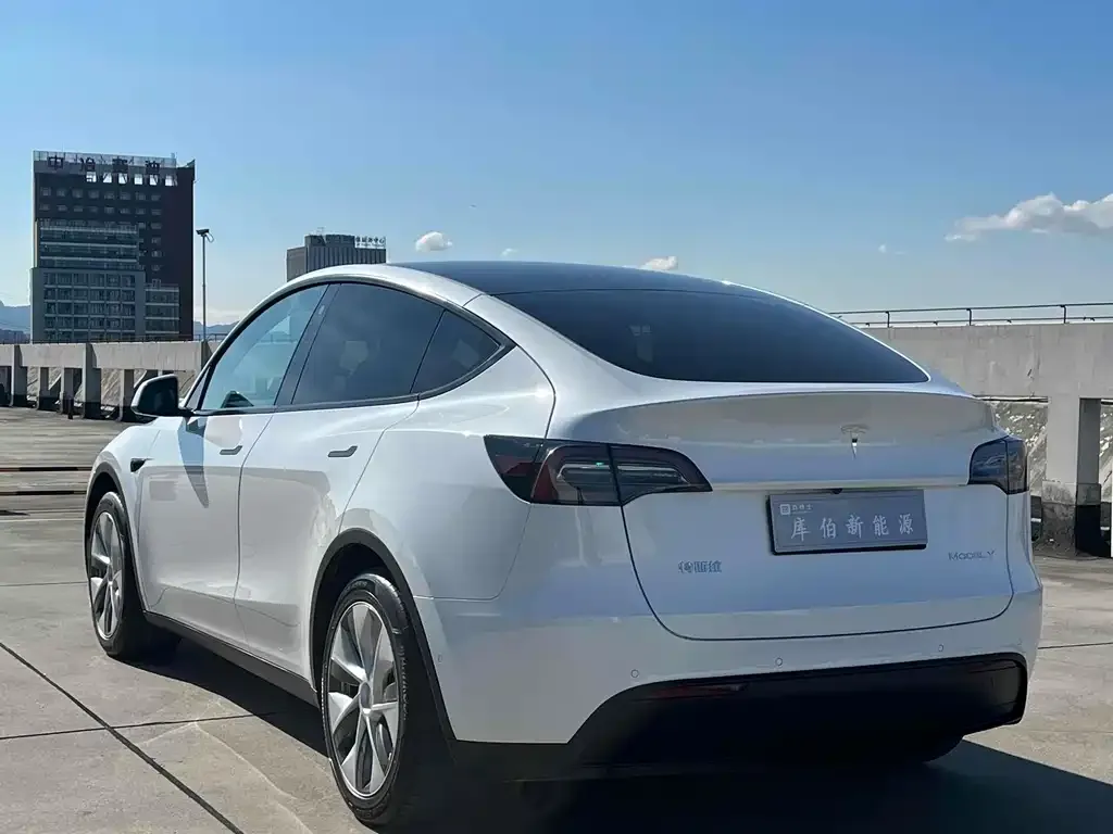 Tesla Model Y 2022 из CN, фото 5