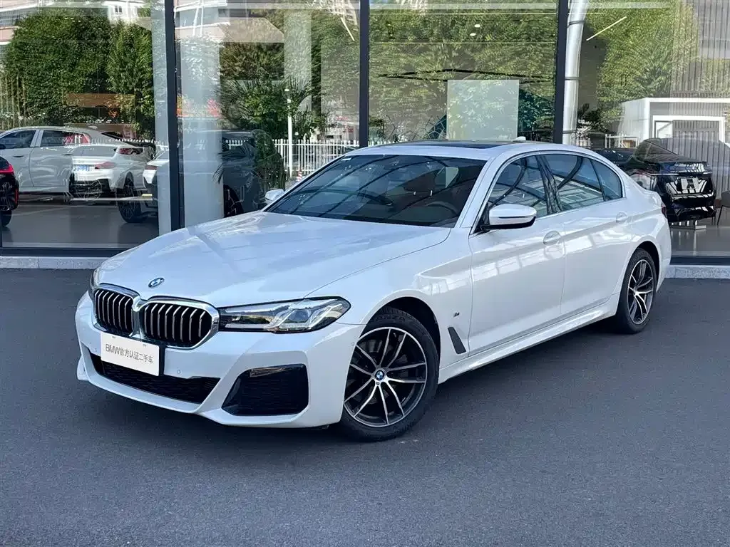 BMW 5 Series 2024 из CN, фото 1