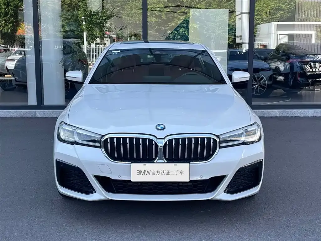 BMW 5 Series 2024 из CN, фото 2