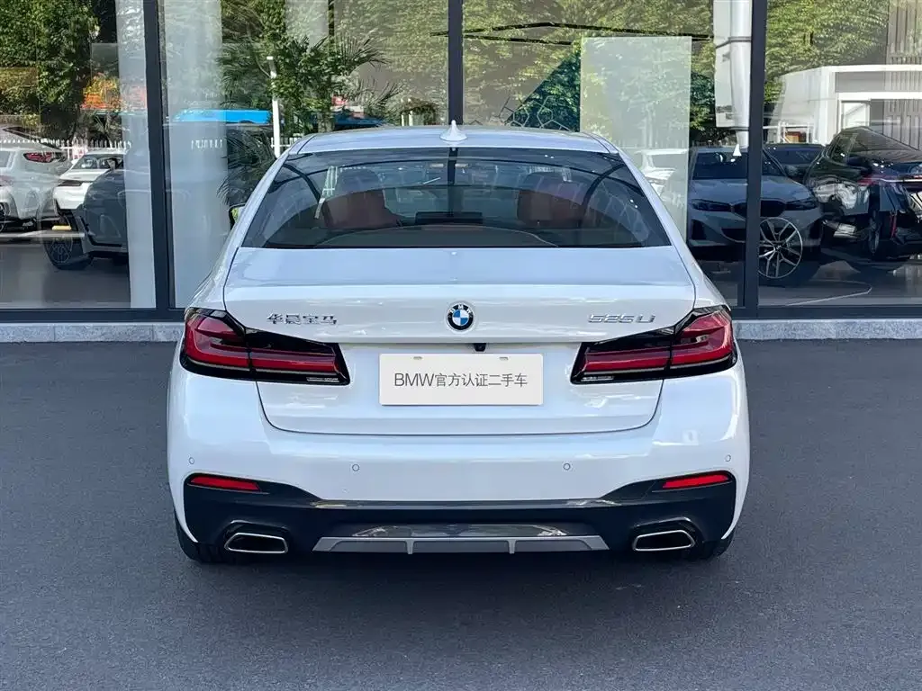BMW 5 Series 2024 из CN, фото 3