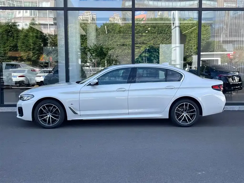 BMW 5 Series 2024 из CN, фото 4