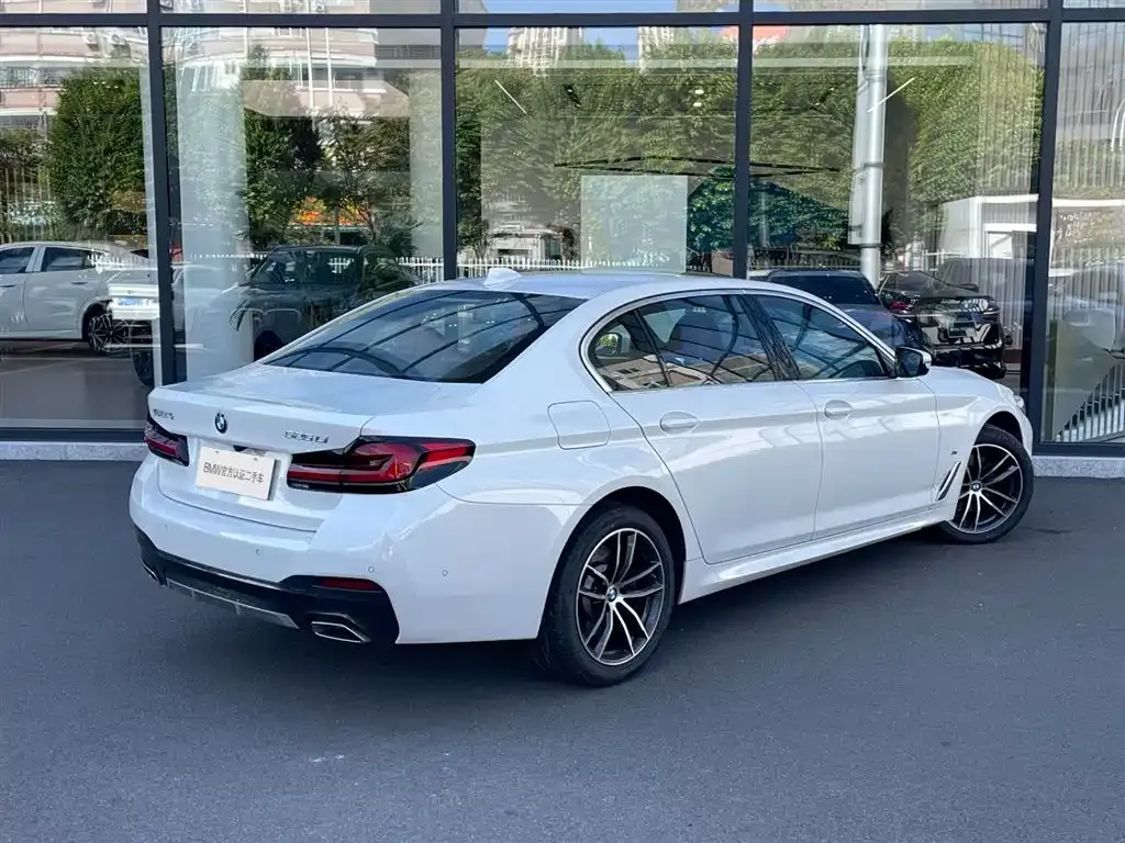 BMW 5 Series 2024 из CN, фото 5