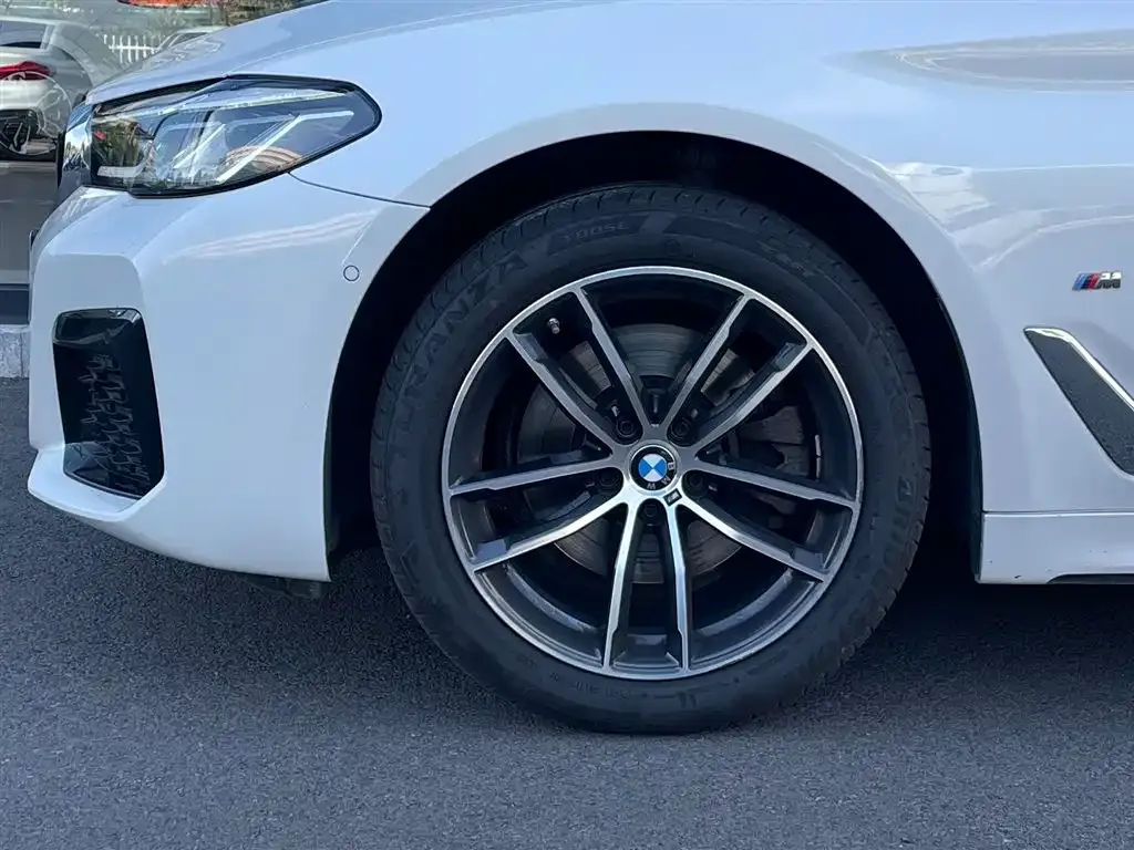 BMW 5 Series 2024 из CN, фото 6